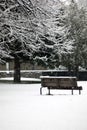 Winter scene - snowfall in the park Royalty Free Stock Photo
