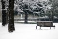 Winter scene - snowfall in the park Royalty Free Stock Photo