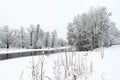 Snowy forest scene and river in winter. Royalty Free Stock Photo