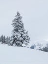 Winter scene in the Swiss Alps Royalty Free Stock Photo