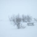 Winter scene Royalty Free Stock Photo