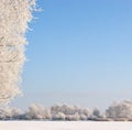 Winter scene under blue sky Royalty Free Stock Photo