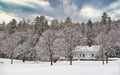 Winter scene from Vermont with tall trees and small house.