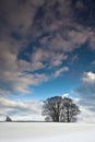 Winter sceneries in Denmark with a field covered by snow