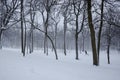 Winter Scenery Royalty Free Stock Photo