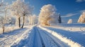 Winter scenery way of ice trees with sunrise .