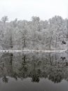 Winter scenery of the Bear Lake in the Sovata resort, Romania with reflections of snowy trees in it