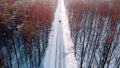 Winter scenery. Car dashing through the snow covered road surrounded by tall leafless trees Royalty Free Stock Photo