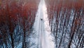 Winter scenery. Car dashing through the snow covered road surrounded by tall leafless trees. Royalty Free Stock Photo