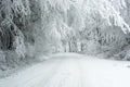 Winter scenery in Carpathian mountains near Pezinok, Slovakia