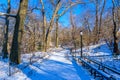 Winter Scenery in Central Park of New York City with ice and snow, USA Royalty Free Stock Photo