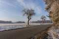 winter scenery of field and trees on a frosty day in the countryside Royalty Free Stock Photo