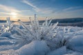 Winter scenery with frosty ice flowers, snow, and crystals Royalty Free Stock Photo