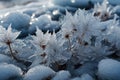 Winter scenery with frosty ice flowers, snow, and crystals Royalty Free Stock Photo