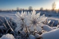 Winter scenery with frosty ice flowers, snow, and crystals Royalty Free Stock Photo