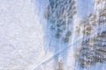 Winter scenery with frozen trees and footpaths, covered by snow. aerial top view