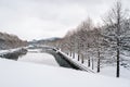 Winter Scenery of Gwanbangjerim Forest and River in Damyang, Korea Royalty Free Stock Photo