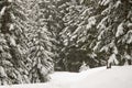 Winter scenery, Haute savoie, France Royalty Free Stock Photo