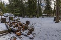 Winter scenery of ice and snow along the White River under Mount Rainier.