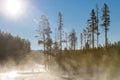 Winter in the Madison River inf Yellowstone National Park Royalty Free Stock Photo