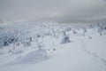 Winter scenery in polish mountains