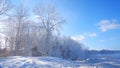 Winter landscape of the forest at the edge of a river Royalty Free Stock Photo