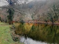 Winter Scenery of the River Tavy , Devon, Uk