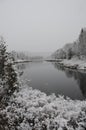 Winter Scenery Season Photo and Image. Winter scenery displaying its white blanket on trees, cattails, river with a grey sky with