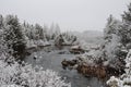 Winter Scenery Season Photo and Image. Horizontal Photo. Displaying its white blanket on trees, river and with a grey sky with a