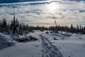 Winter scenery with snow cocvered forest glade, hiking trail, tree stump, forest and blue sky with clouds