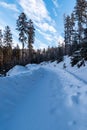 winter scenery with snow covered forest road, trees and blue sky with clouds Royalty Free Stock Photo