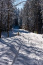 Winter scenery with snow covered road, forest and small bridge Royalty Free Stock Photo