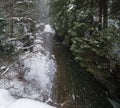 Winter scenery with snowfall and mountain stream running through picturesque snowy forest. River coursing in canyon through Royalty Free Stock Photo