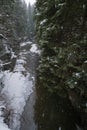 Winter scenery with snowfall and mountain stream running through picturesque snowy forest. River coursing in canyon through Royalty Free Stock Photo