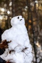 Sunny winter scenery, snowman in the woods, snow on the branch Royalty Free Stock Photo