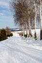 Snowy road. Poland Royalty Free Stock Photo