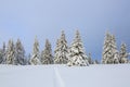 Winter scenery in the sunny day. Mountain landscapes. Trees covered with white snow, lawn and blue sky. Carpathian mountains. Royalty Free Stock Photo