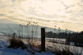 Winter scenery with the sunrise with wooden post and high plants