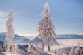 Winter scenery up in the mountains