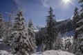 Winter scenery of the Western Tatra Mountains. Chocholowska glade area