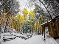 Winter scenes at south mountain state park in north carolina