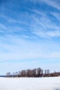 Winter scenic with frozen lake and blue sky over trees Royalty Free Stock Photo