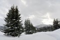 Winter scenic in Hokkaido