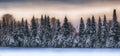 Winter scenic landscape Royalty Free Stock Photo