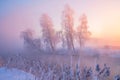 Winter scenic landscape Royalty Free Stock Photo