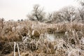 Winter scenic at the river Paar Royalty Free Stock Photo