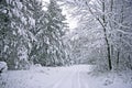 Winter Scenic Seasonal Road