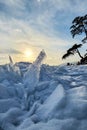 Winter sea sunset. Panoramic view of the snow-covered shore of the frozen sea, the lake at sunset. Shards of ice close-up. Royalty Free Stock Photo