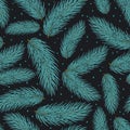 Winter seamless pattern with conifer blue pine tree branches