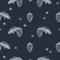 Winter seamless pattern with hand drawn cones and pine spruce. Hand drawn Christmas, New Year elements with chalk on the blackboar Royalty Free Stock Photo